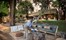 Matetsi River Lodge Victoria Falls Zimbabwe24