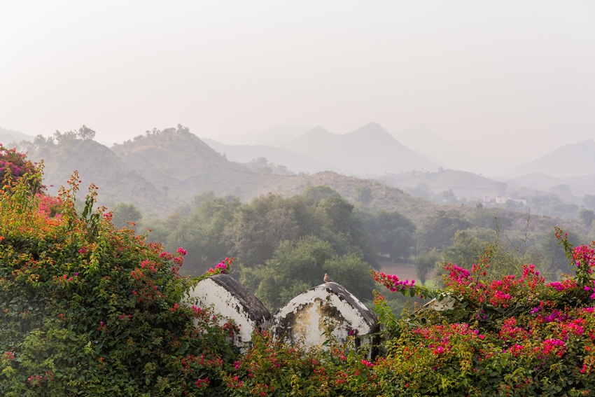 Delwara, Rajasthan, North India (1).JPG