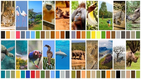 Wildlife Colourscapes