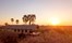 Camp Kalahari, Makgadikgadi Pans, Botswana (2).jpg