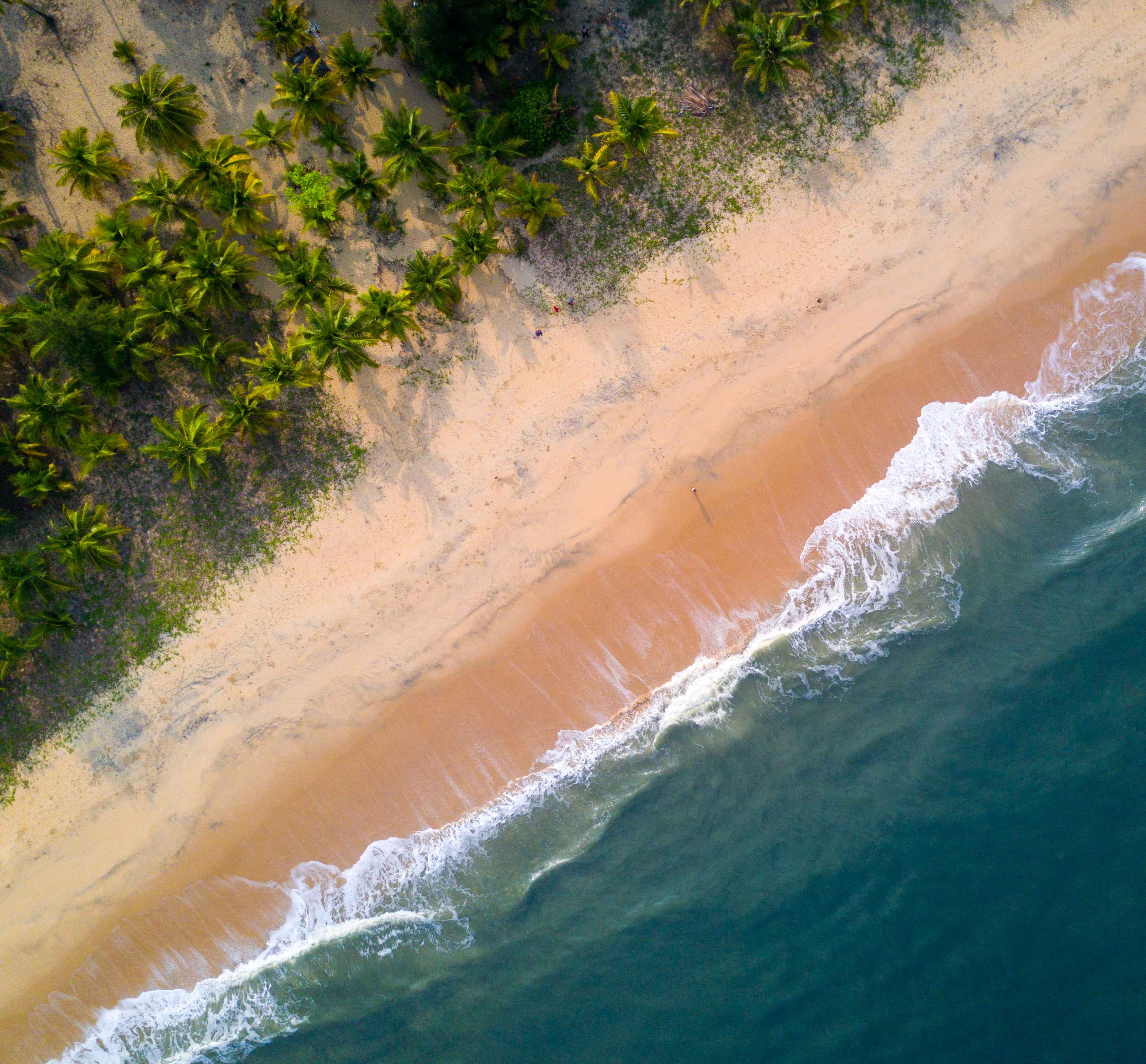 22_Marari Beach Aerial Shot.jpg