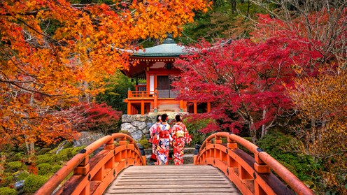 Japan Through The Seasons: When to Travel for Cherry Blossom and Autumn Leaves