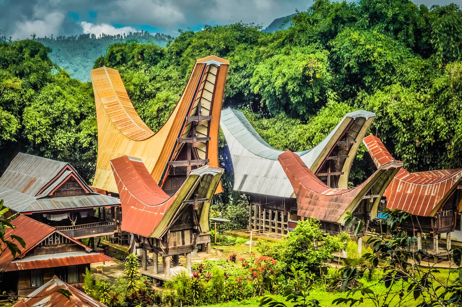 Tana Toraja, Sulawesi, Indonesia 2.jpeg (1)