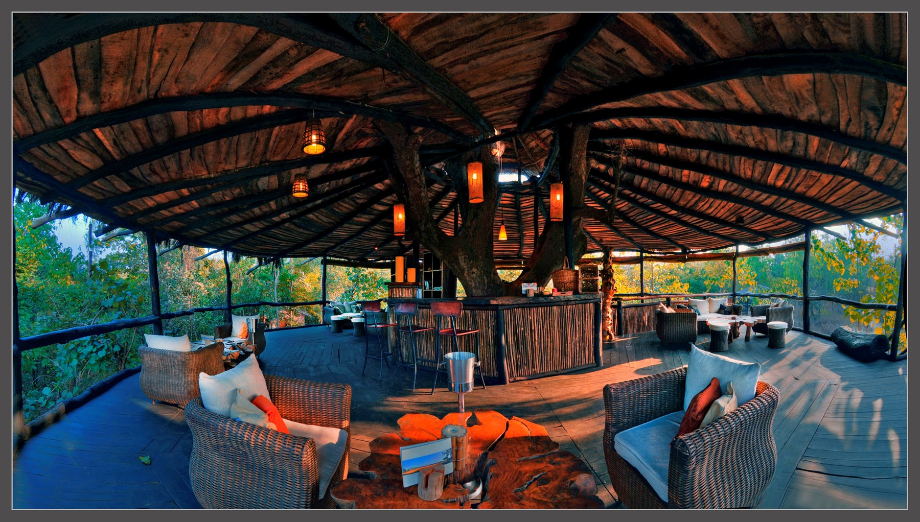 NORTH INDIA - Tree House Hideaway Bandhavgarh