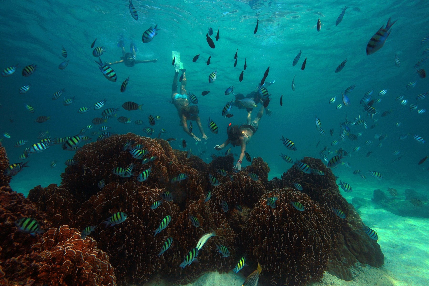 THAILAND - Soneva Kiri -snorkelling