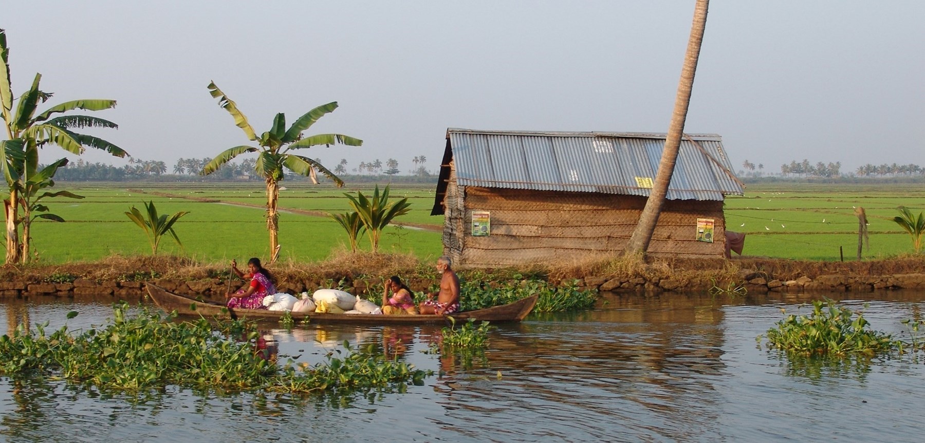 SOUTH INDIA - Coconut Lagoon