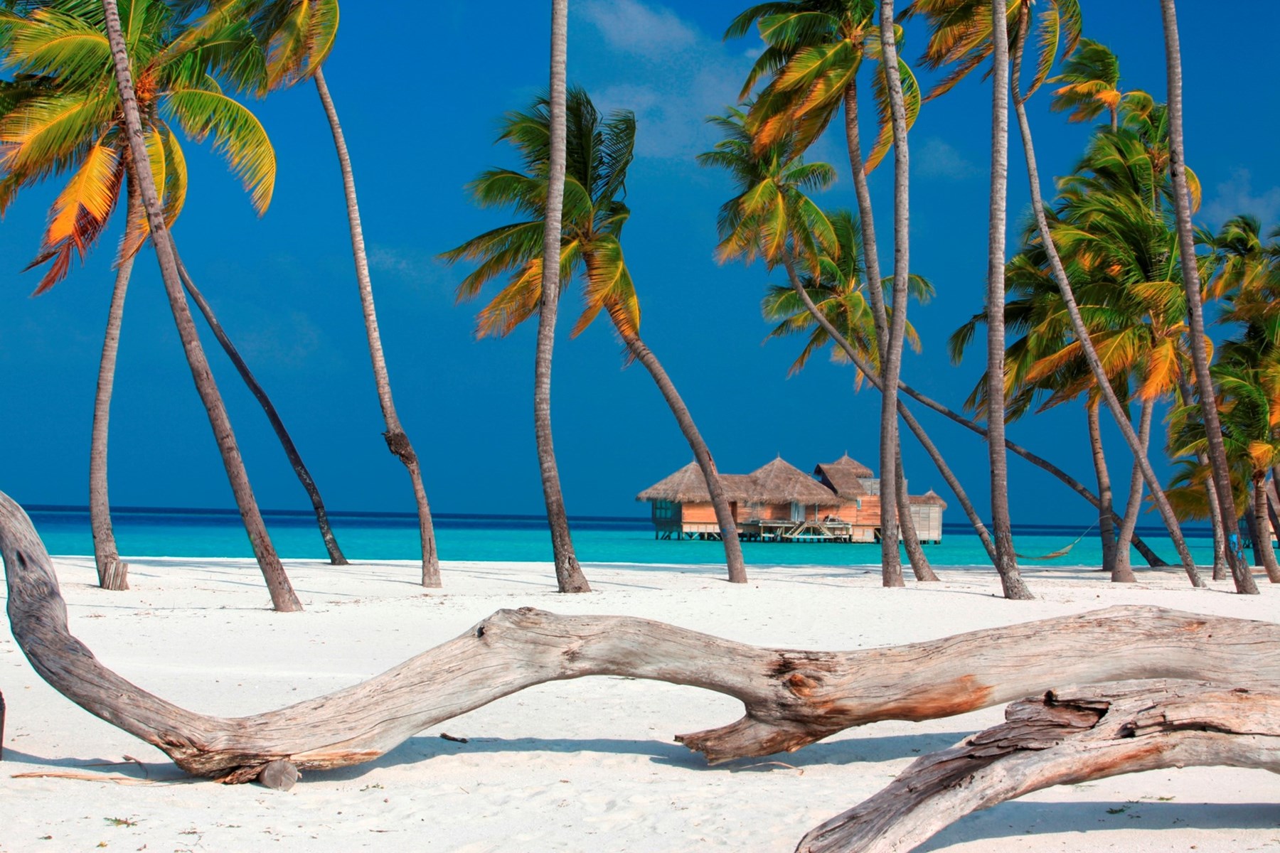 MALDIVES - Crusoe Residence Gili Lankafushi