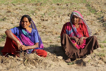 Dasada North India 2 