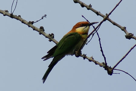Nameri National Park North India 1 