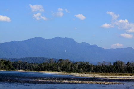 Nameri National Park North India 3 