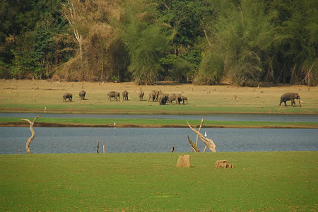 Kabini South India 1 