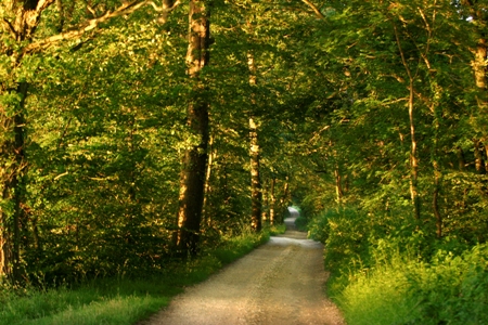 EXCELLENT ENGLAND UK Luxury Tours 10 1