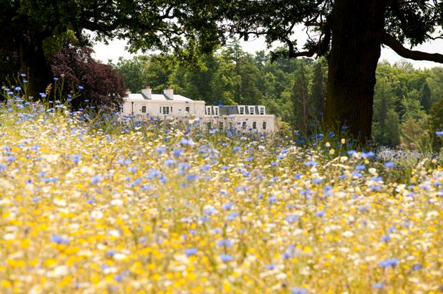 Coworth Park Berkshire UK 8 