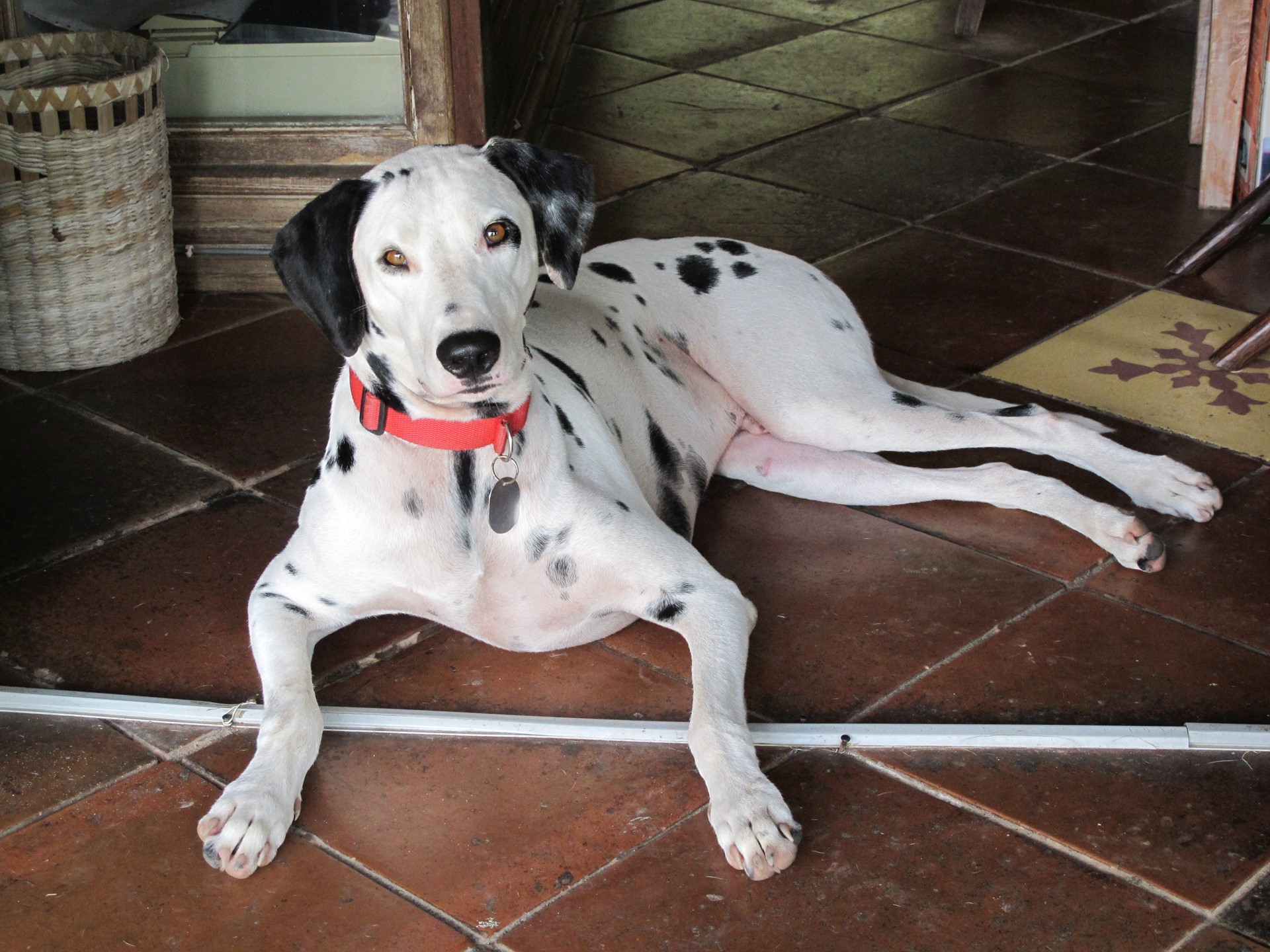 INDONESIA Puri Ganesha 45