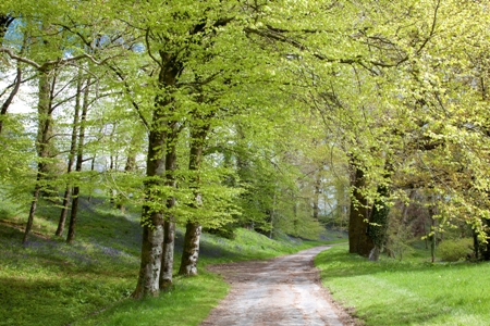 County Laois Ireland UK 1 