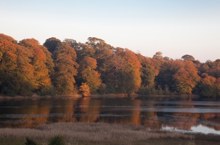 County Laois Ireland UK 2 