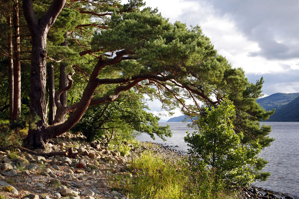 Inverness, Scotland 4