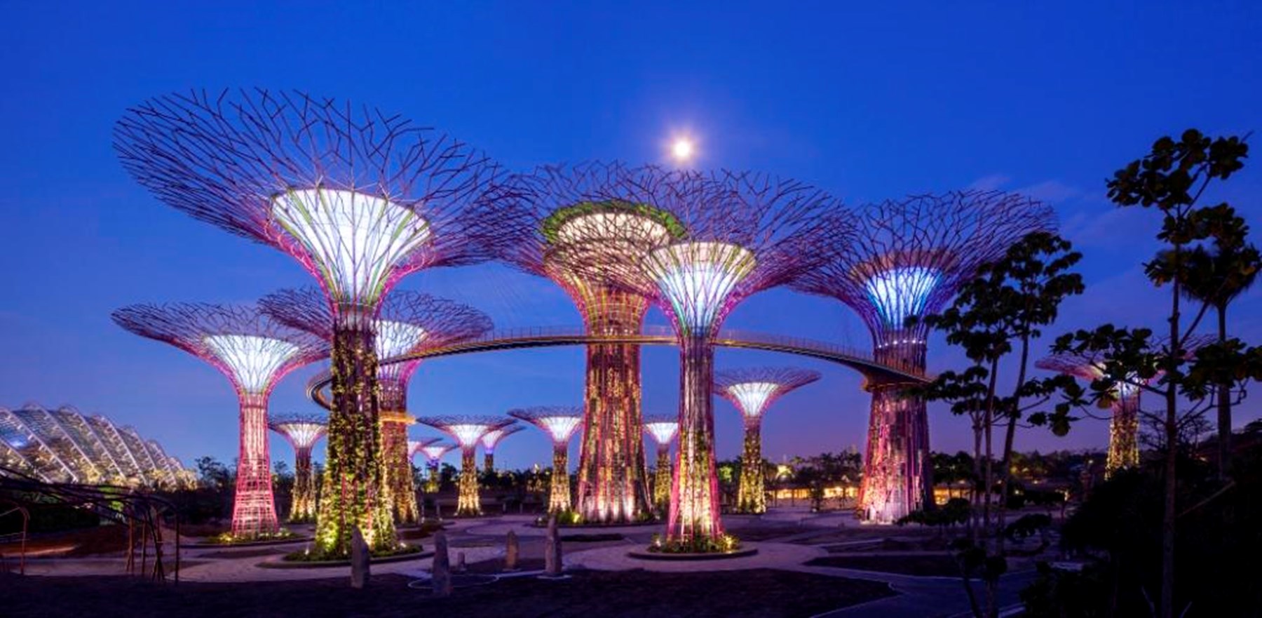 SINGAPORE Gardens By The Bay Gardens Supertrees 30 Low Res