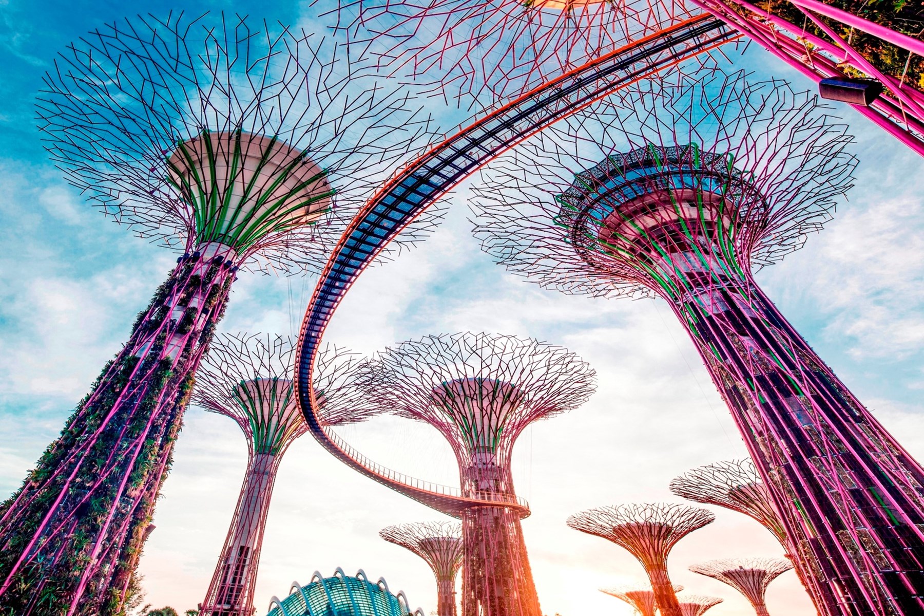 SINGAPORE Gardens By The Bay Gardens Supertrees 49