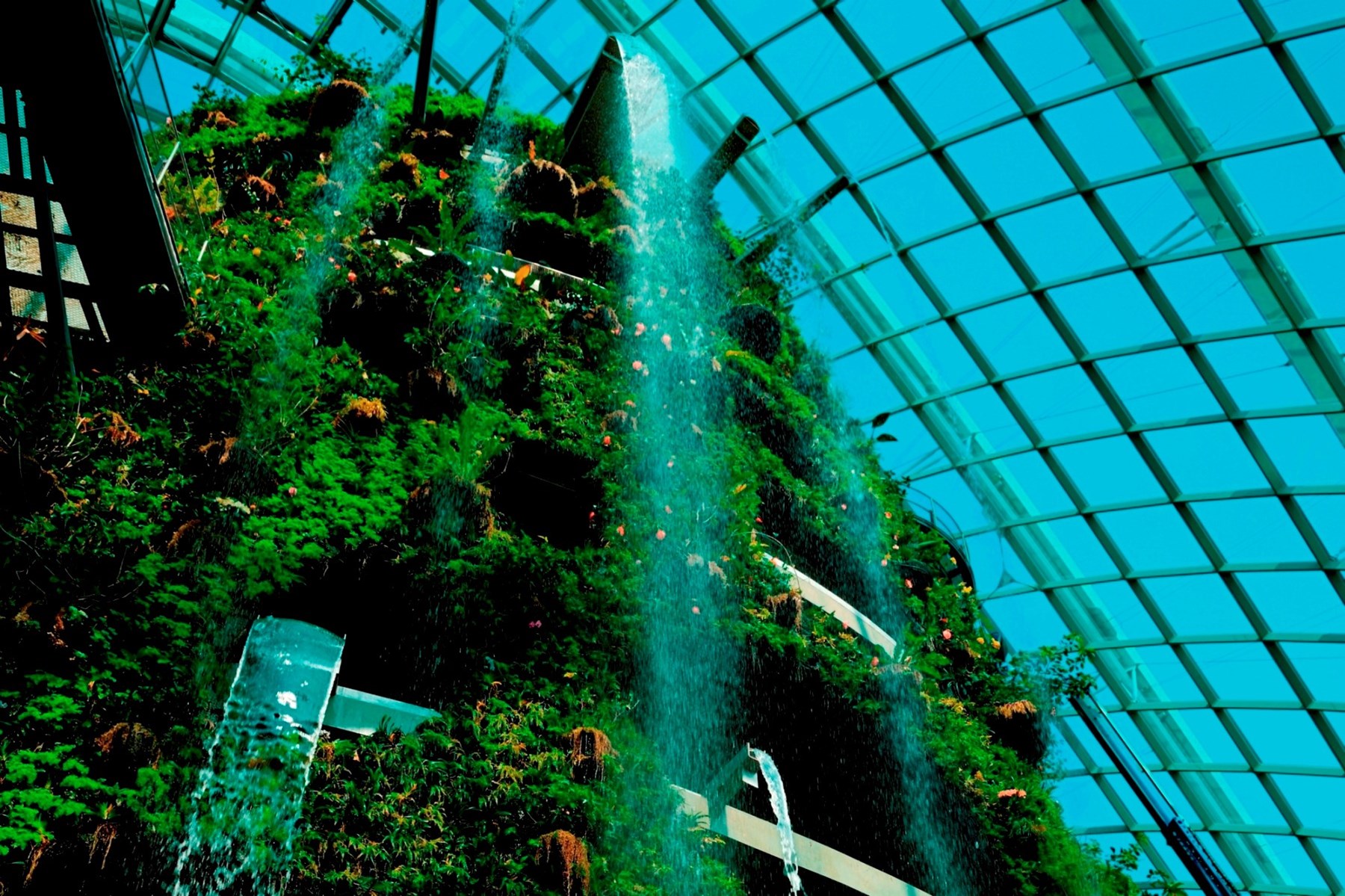 SINGAPORE Gardens By The Bay The Waterfall