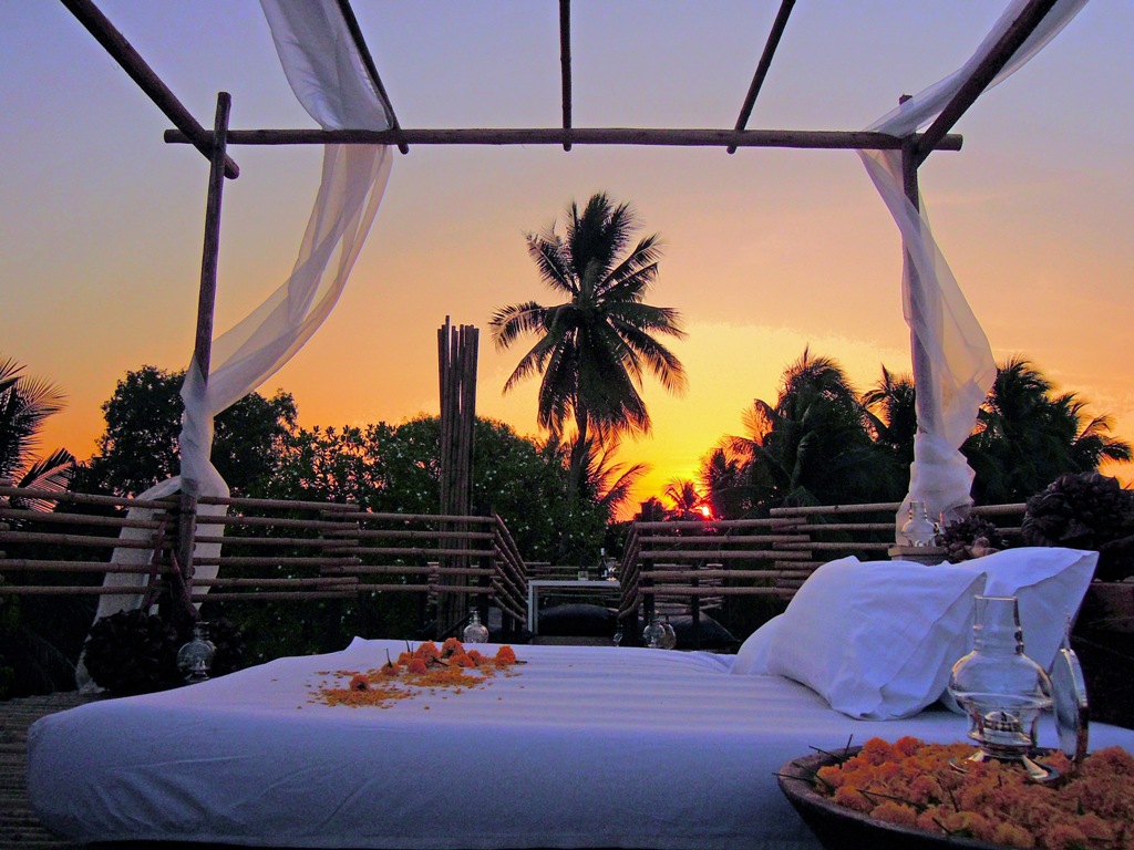 Bangkok Tree House Bangkok Thailand 2  (1)