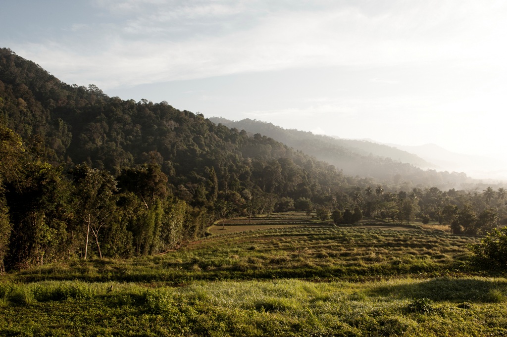 Thanyamundra Resort Khao Sok National Park Thailand 3 