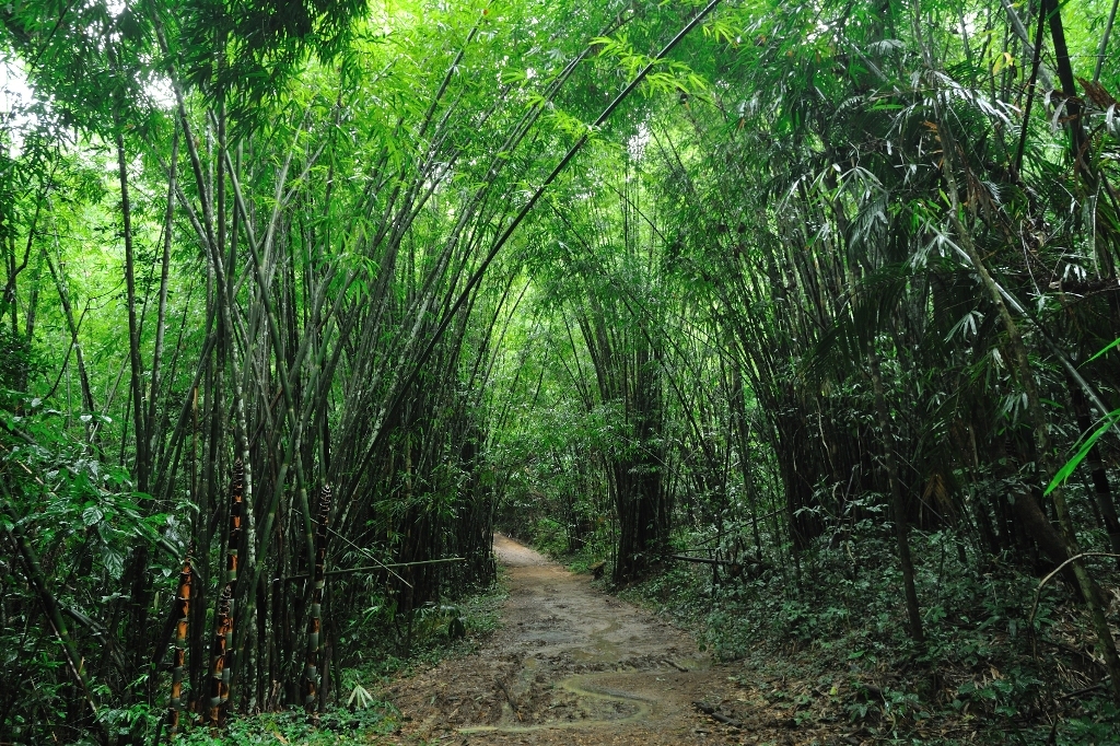 Thanyamundra Resort Khao Sok National Park Thailand 4 
