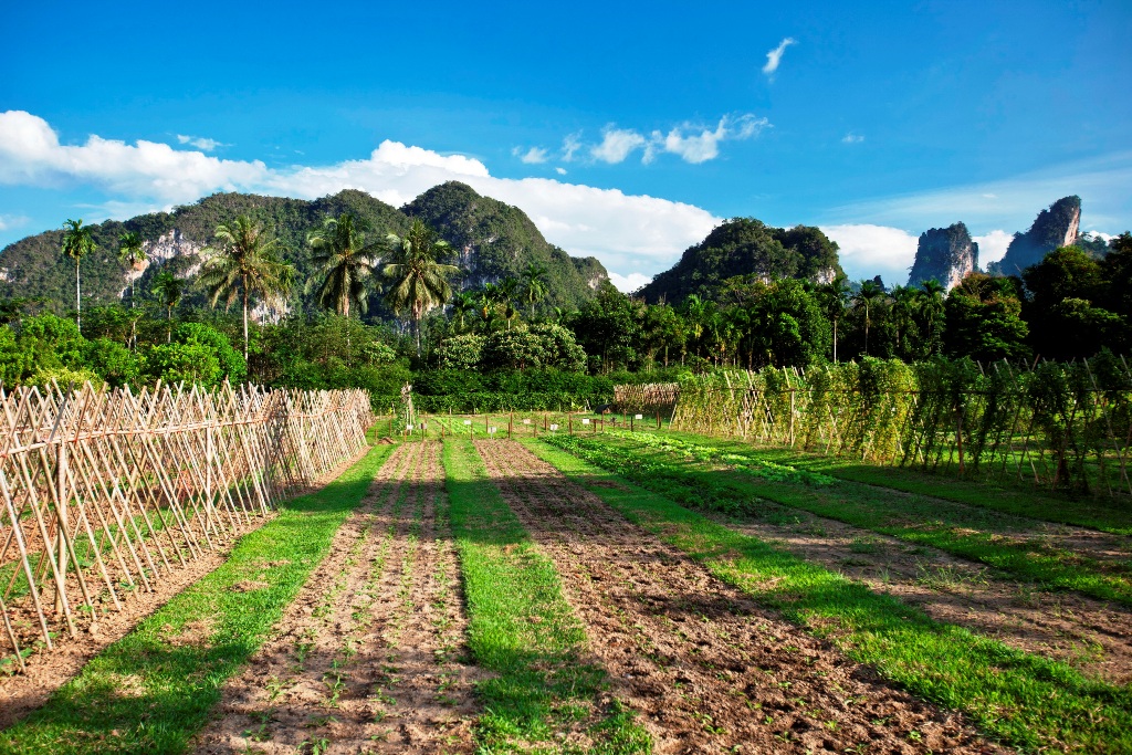 Thanyamundra Resort Khao Sok National Park Thailand 7 