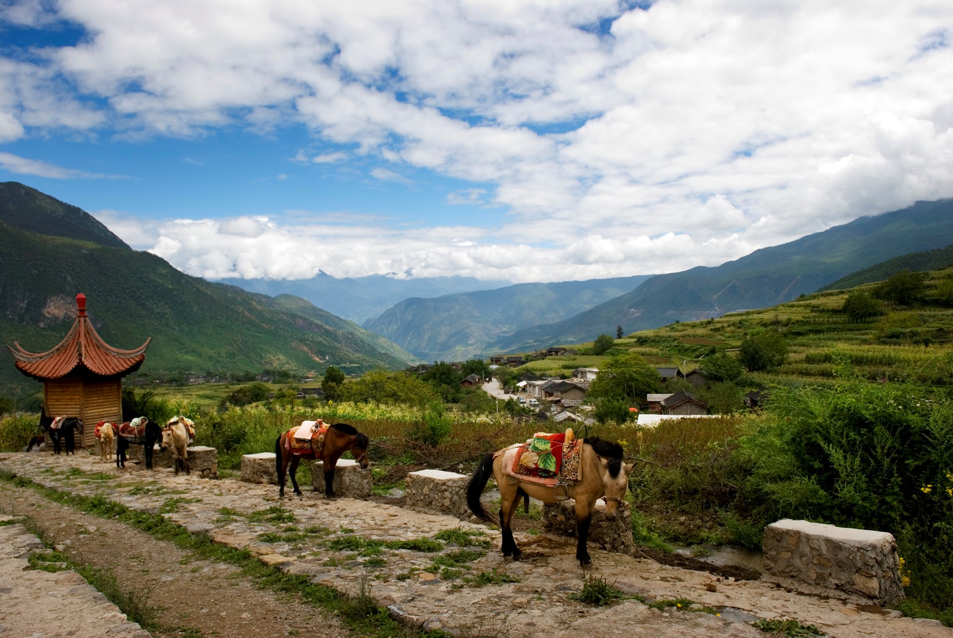 The Banyan Tree Ringha China 8 