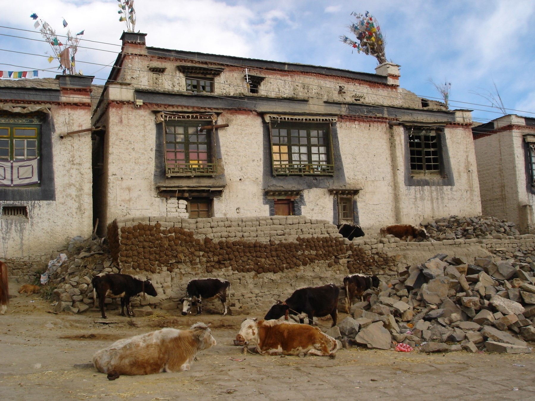 TIBET Inspiration Gallery 26