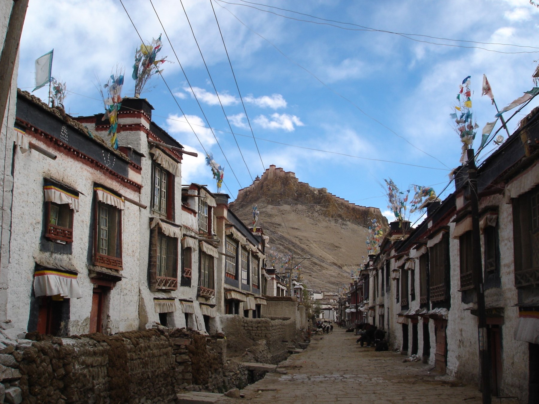 TIBET Inspiration Gallery 27