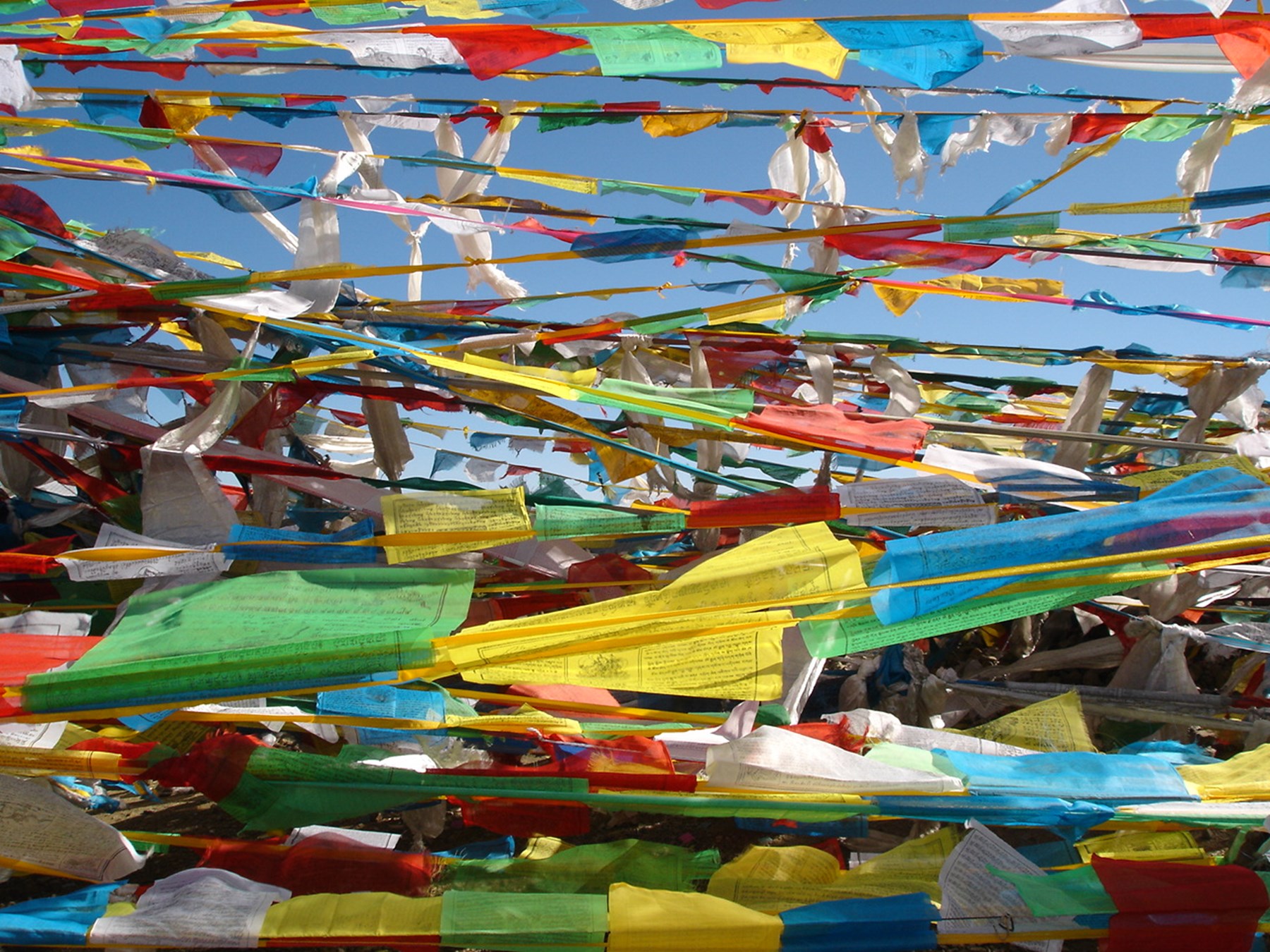 TIBET Inspiration Gallery 30