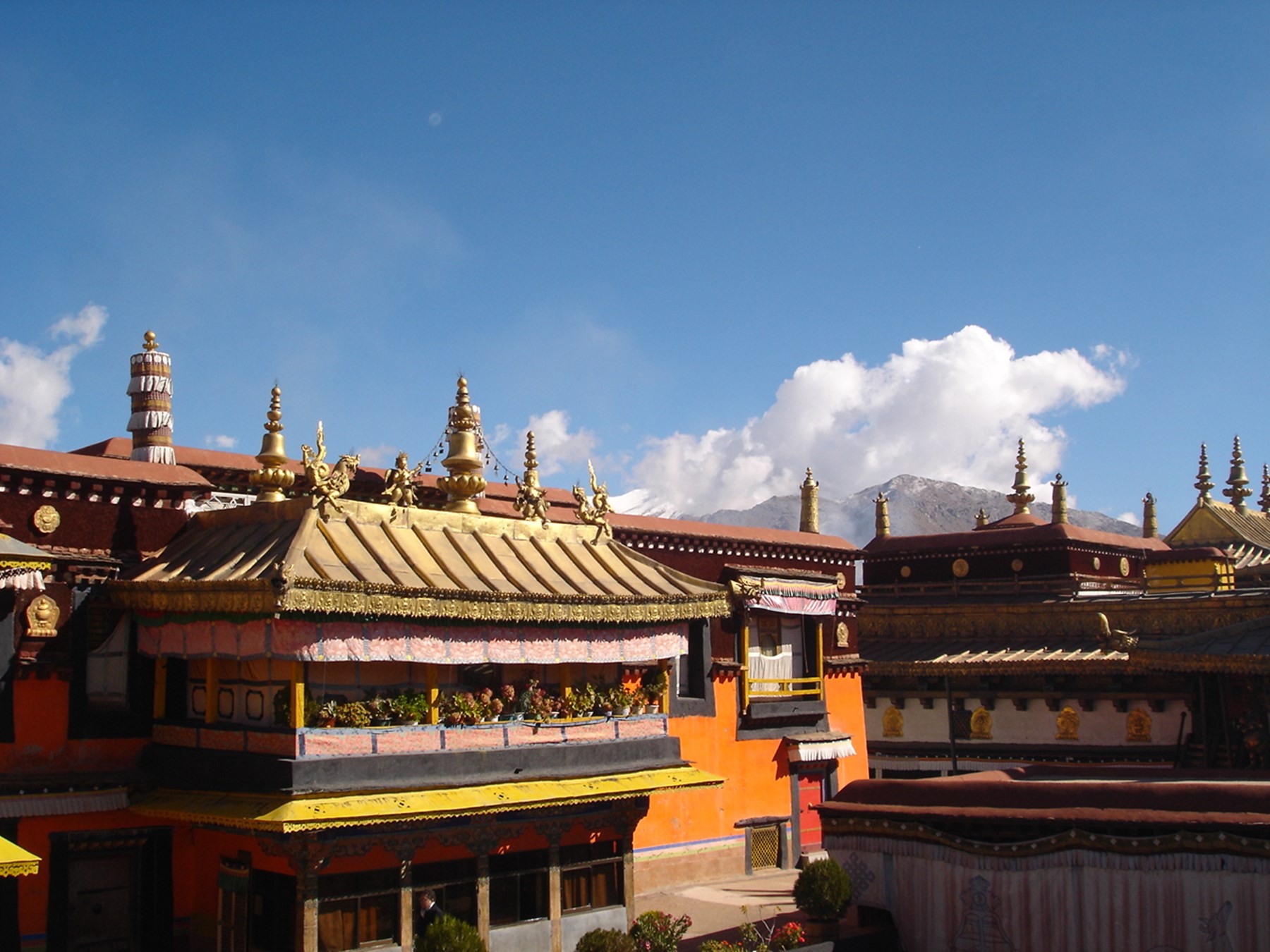 TIBET Inspiration Gallery 8 