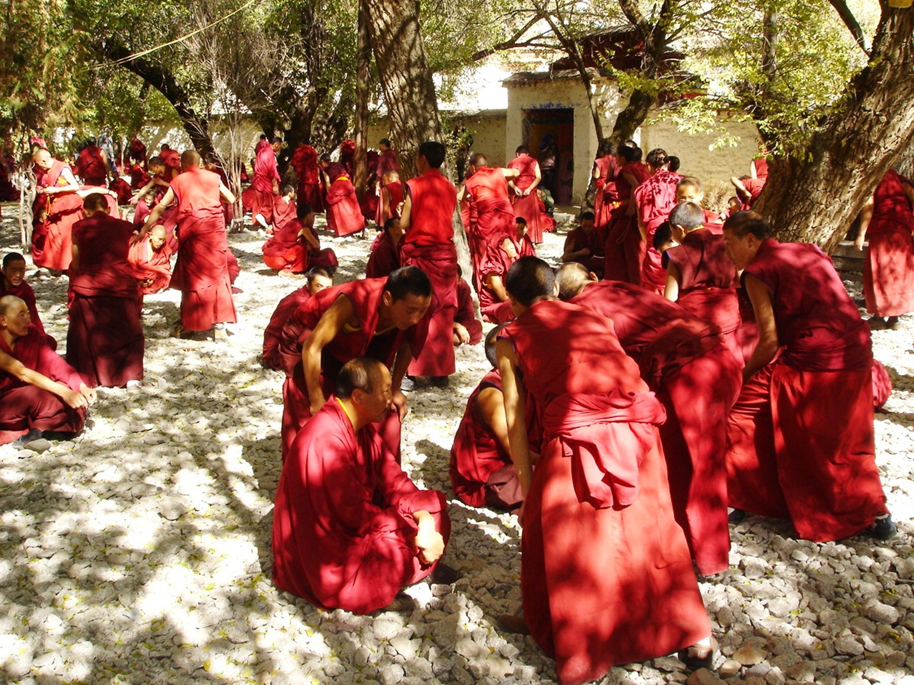 TIBET Inspiration Gallery 10