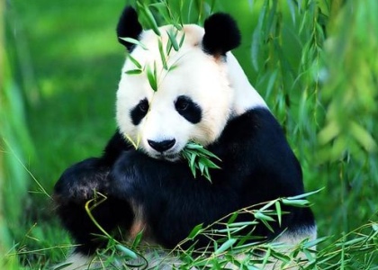 A Gastronomic Tour Of China Itinerary 6 