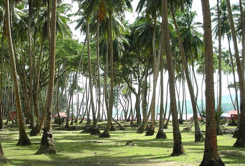 Port Blair Andaman Islands South India