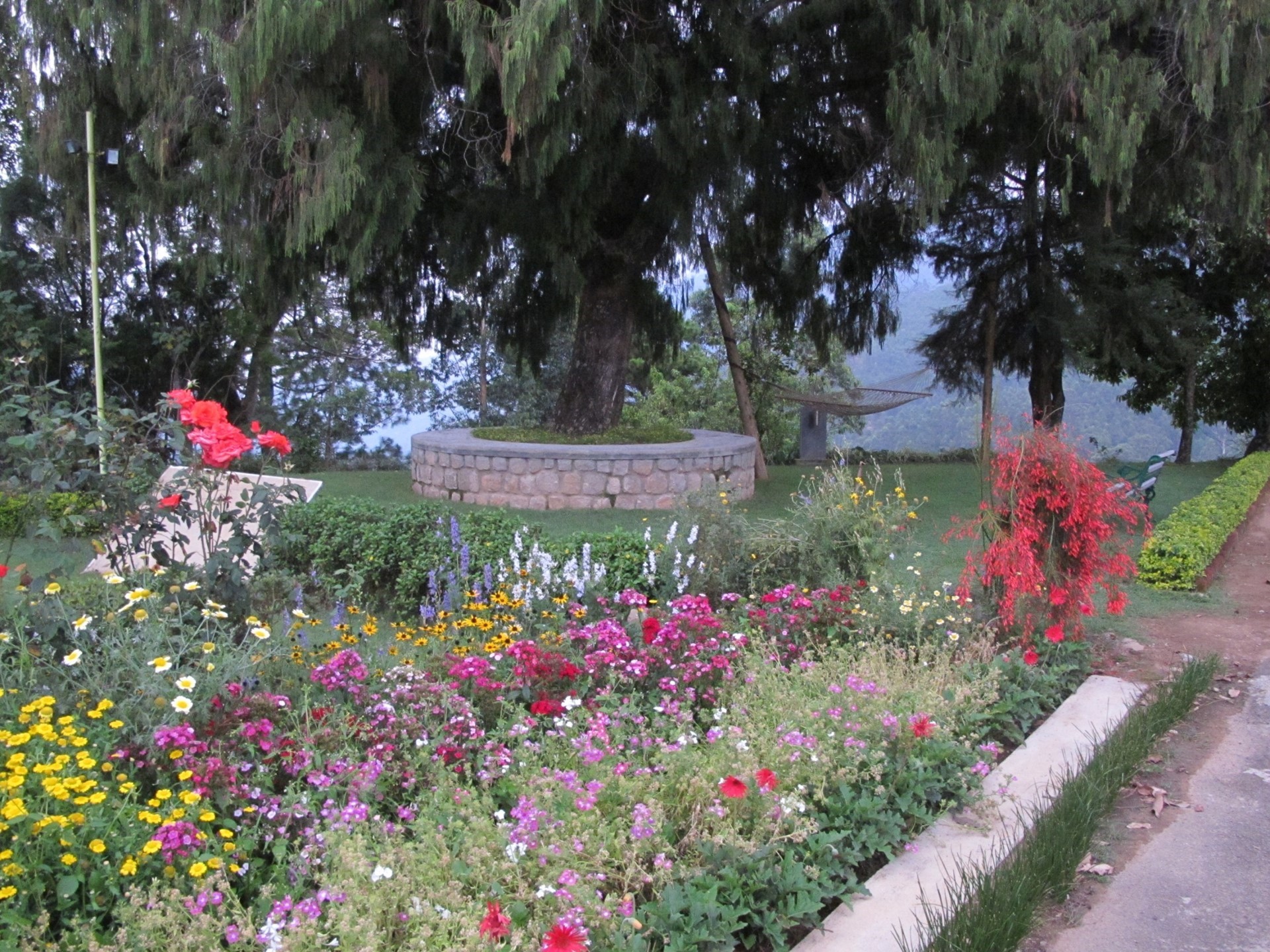 Talayar Valley Bungalow Munnar 3 