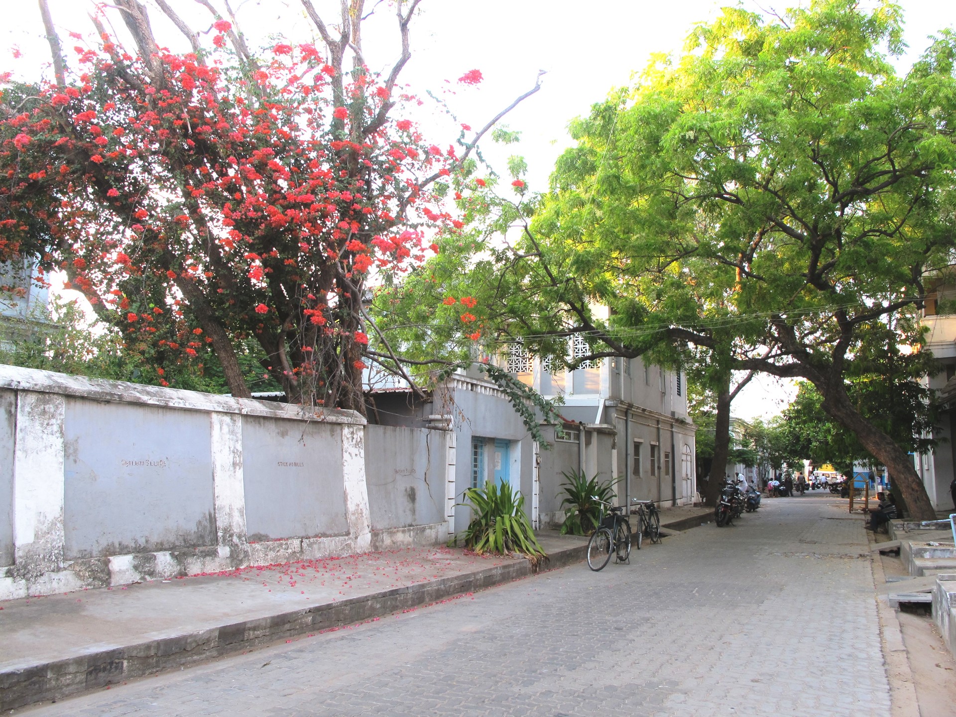 Boutique South India From Chennai To Cochin Itinerary 15 