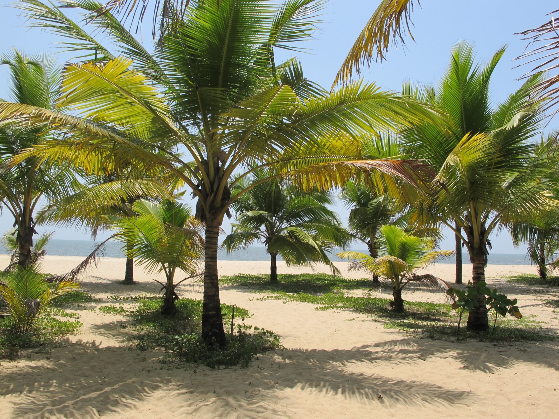 Boutique South India From Chennai To Cochin Itinerary 2 