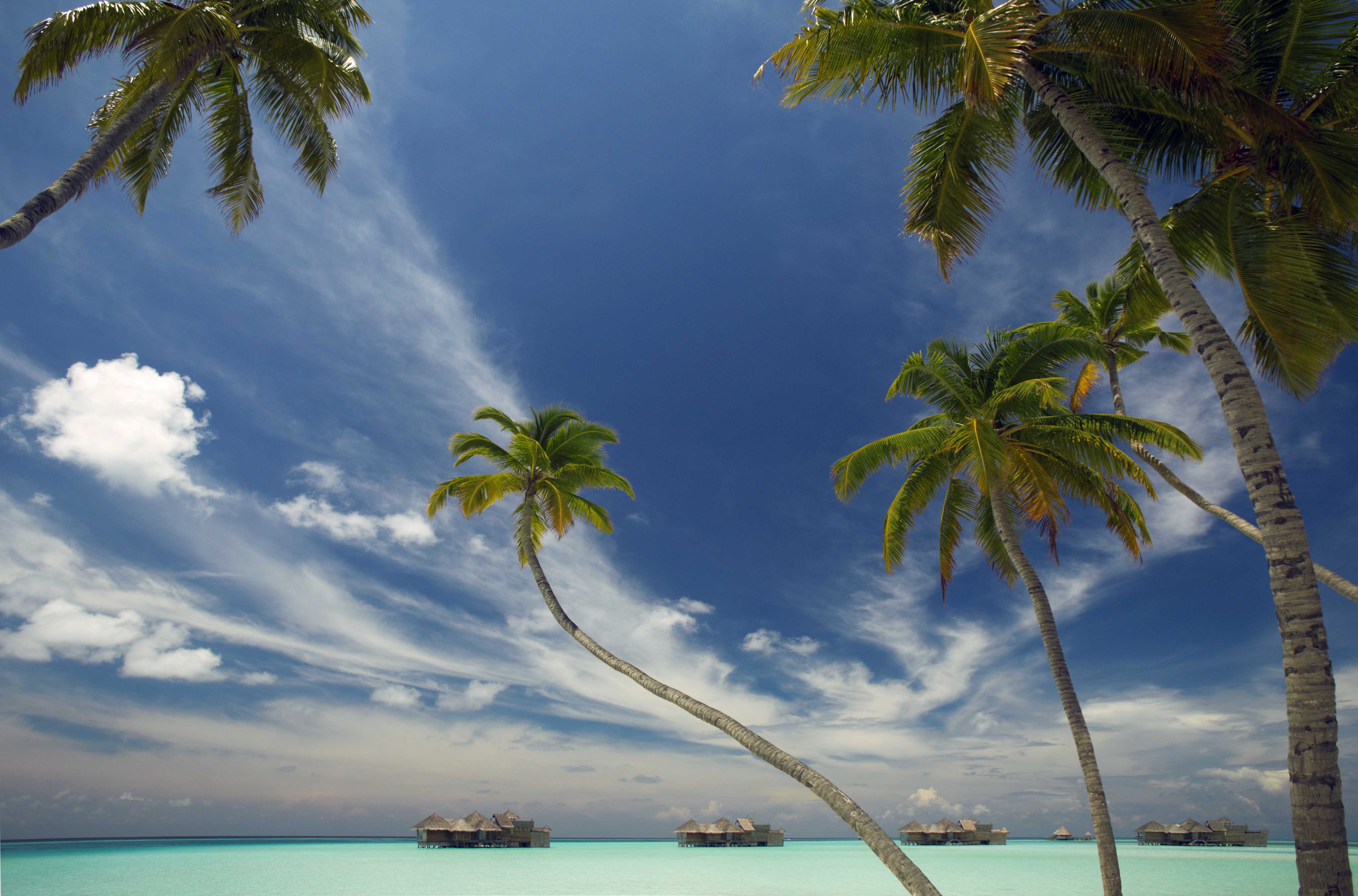 Gili Lankanfushi Maldives 35 