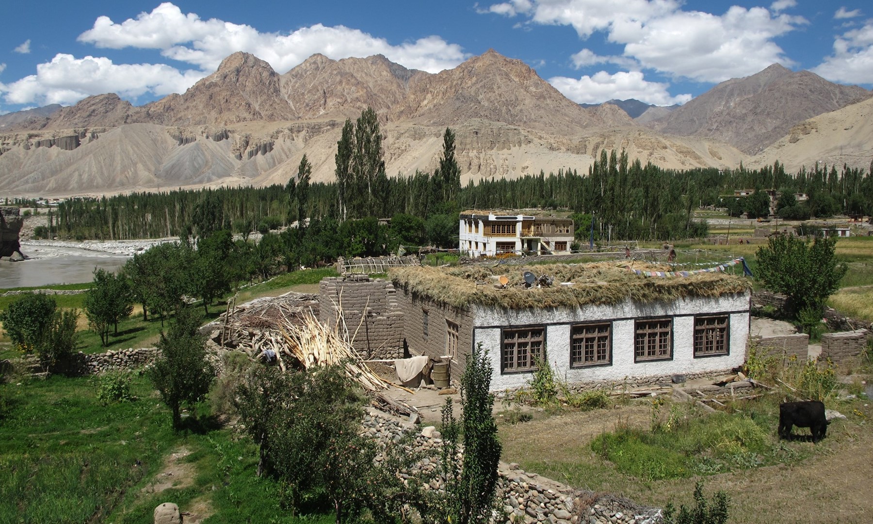 NORTH INDIA James Jayasundera Research Trip Kashmir Ladakh 10