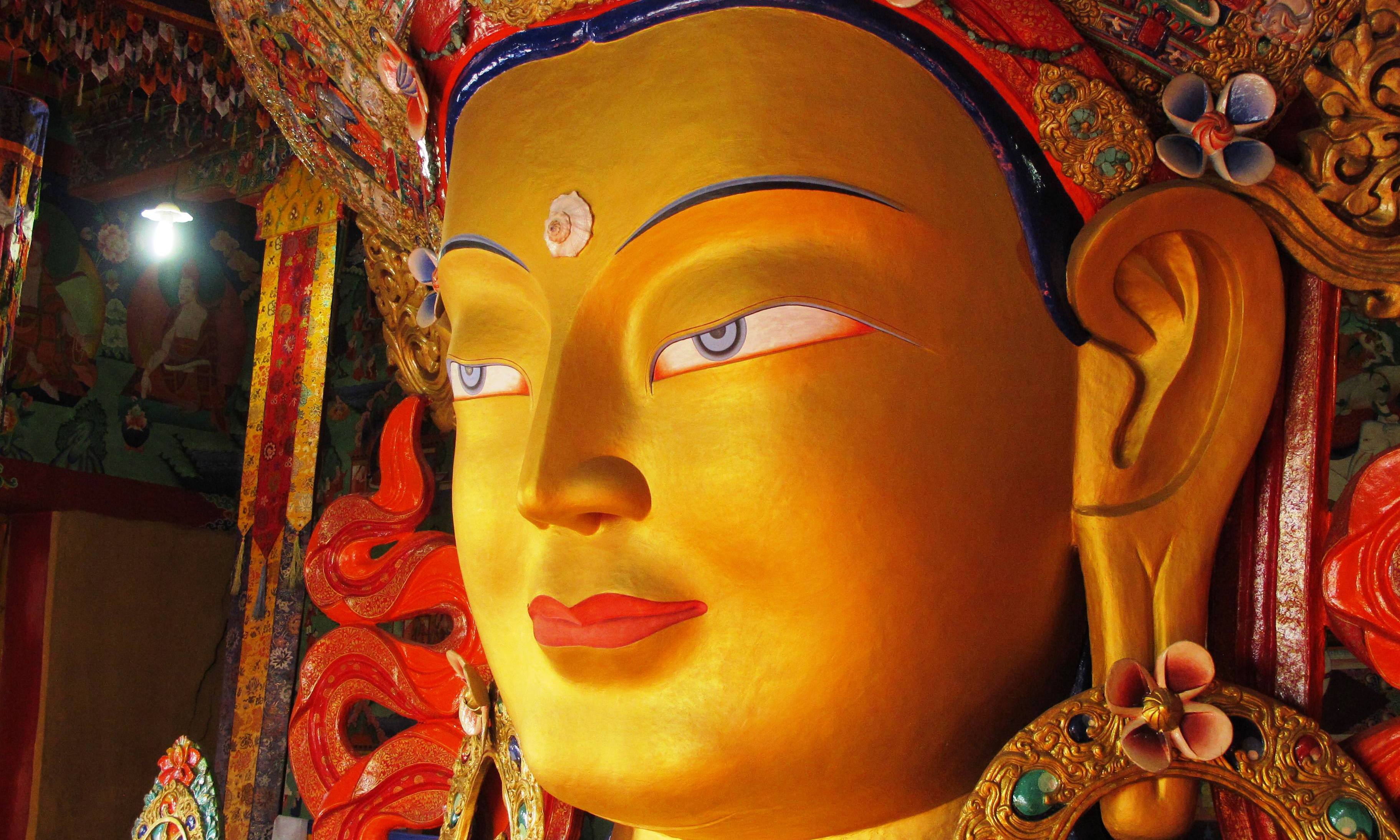 NORTH INDIA James Jayasundera Research Trip Kashmir Ladakh 31 