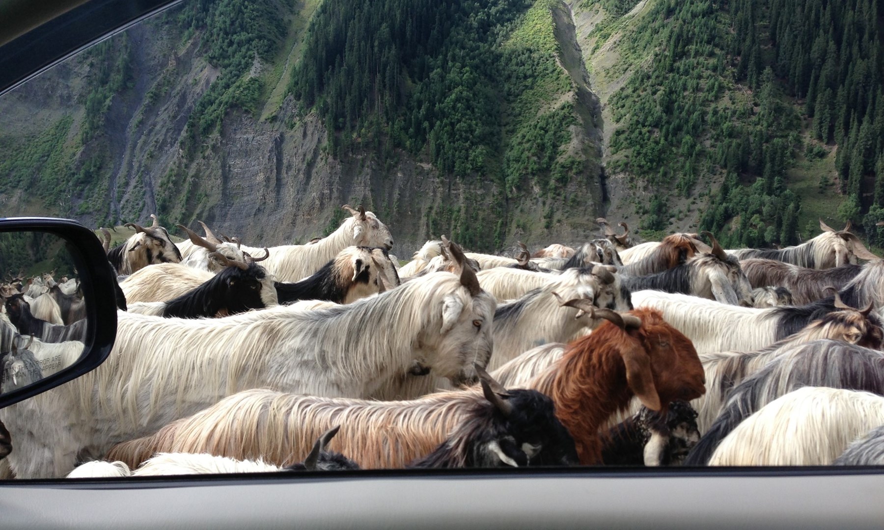 NORTH INDIA James Jayasundera Research Trip Kashmir Ladakh 64 