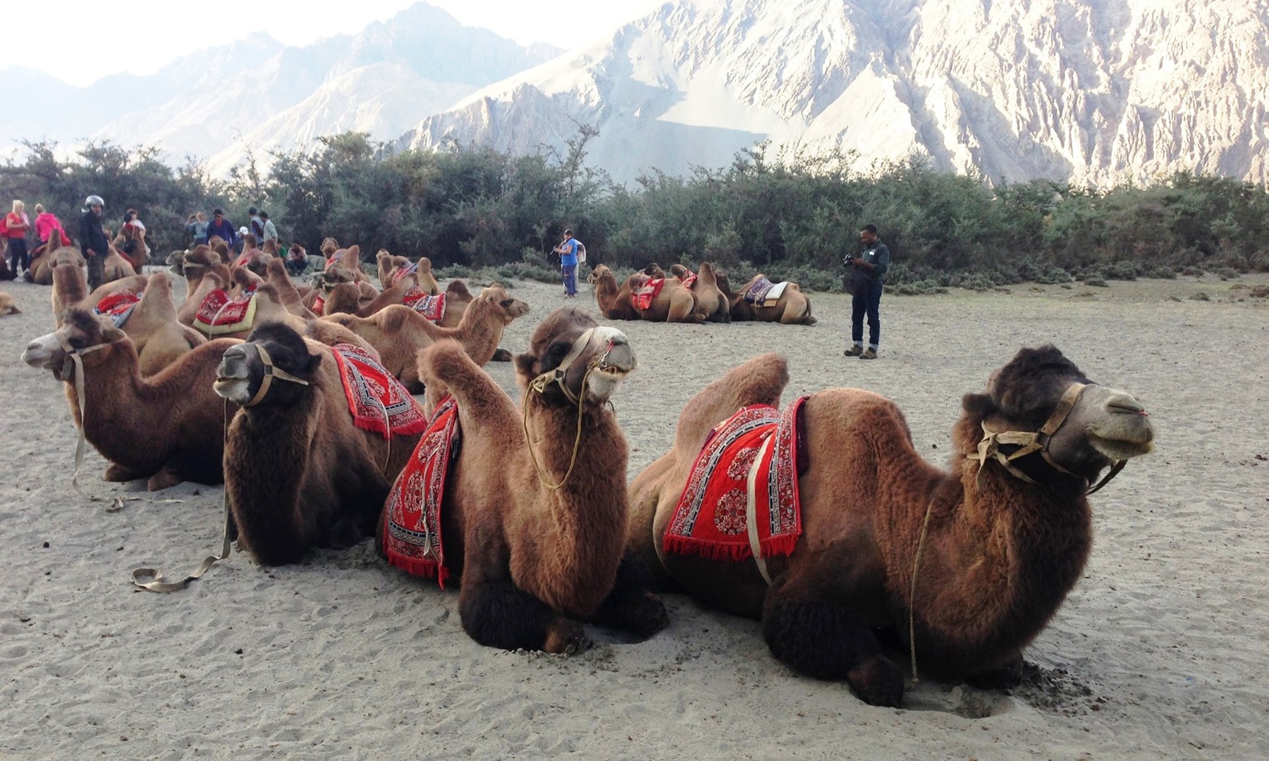 NORTH INDIA James Jayasundera Research Trip Kashmir Ladakh 77 
