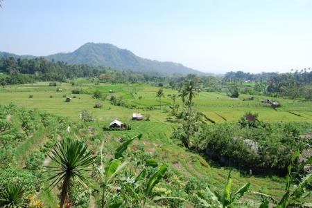 Sidemen Bali INDONESIA