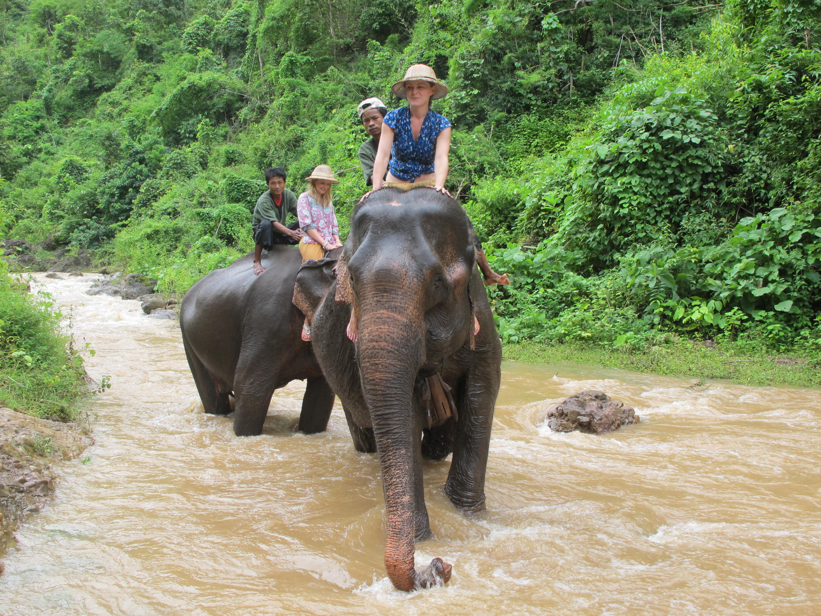 Green Hill Elephant Camp, Kalaw, Burma