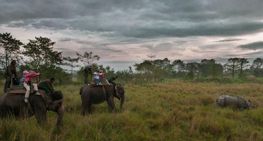 Kasara Resort Chitwan National Park Nepal 15 