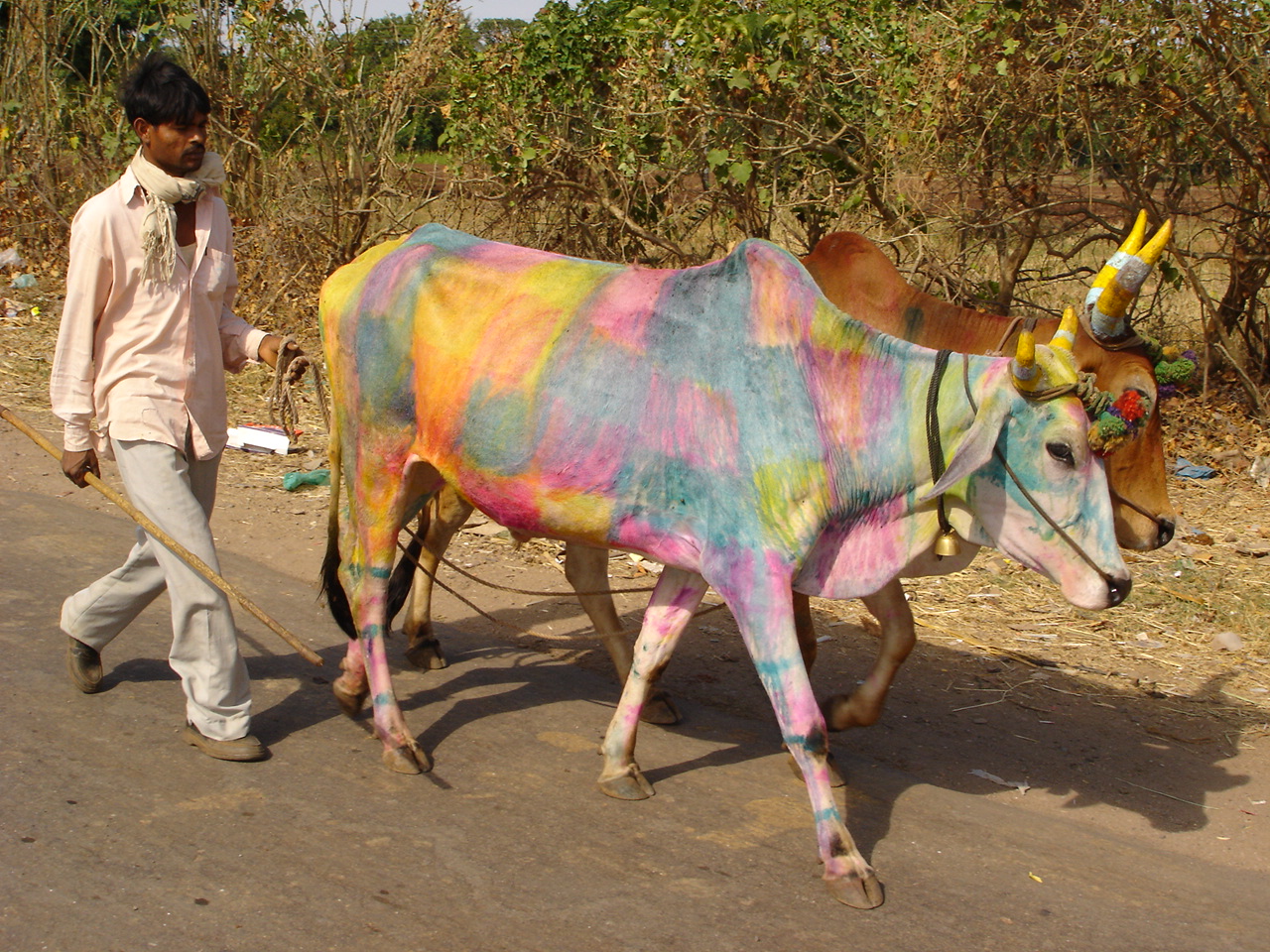 Ahilya Fort Maheshwar North India 21 
