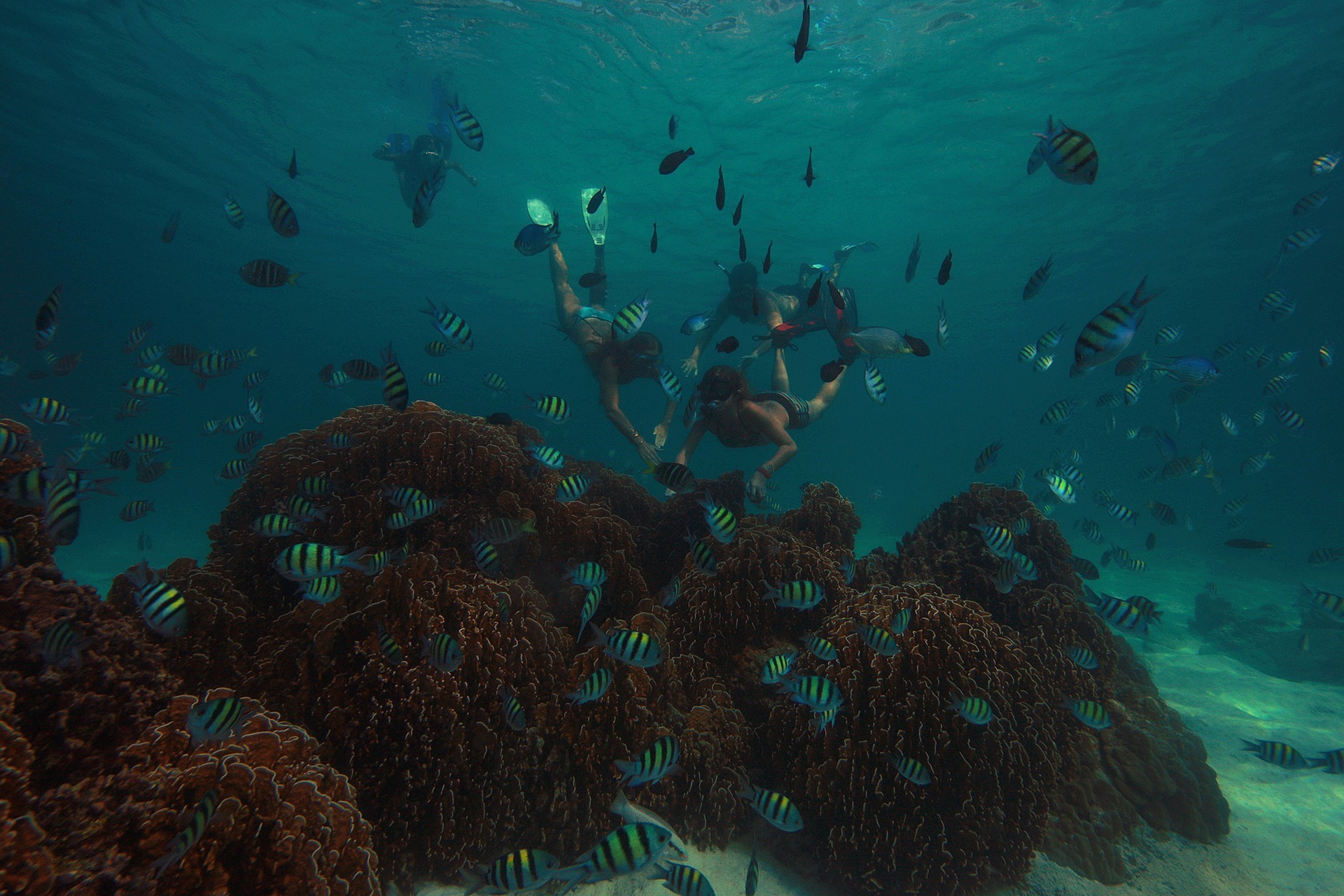 Soneva Fushi The Maldives Ampersand Travel 38 