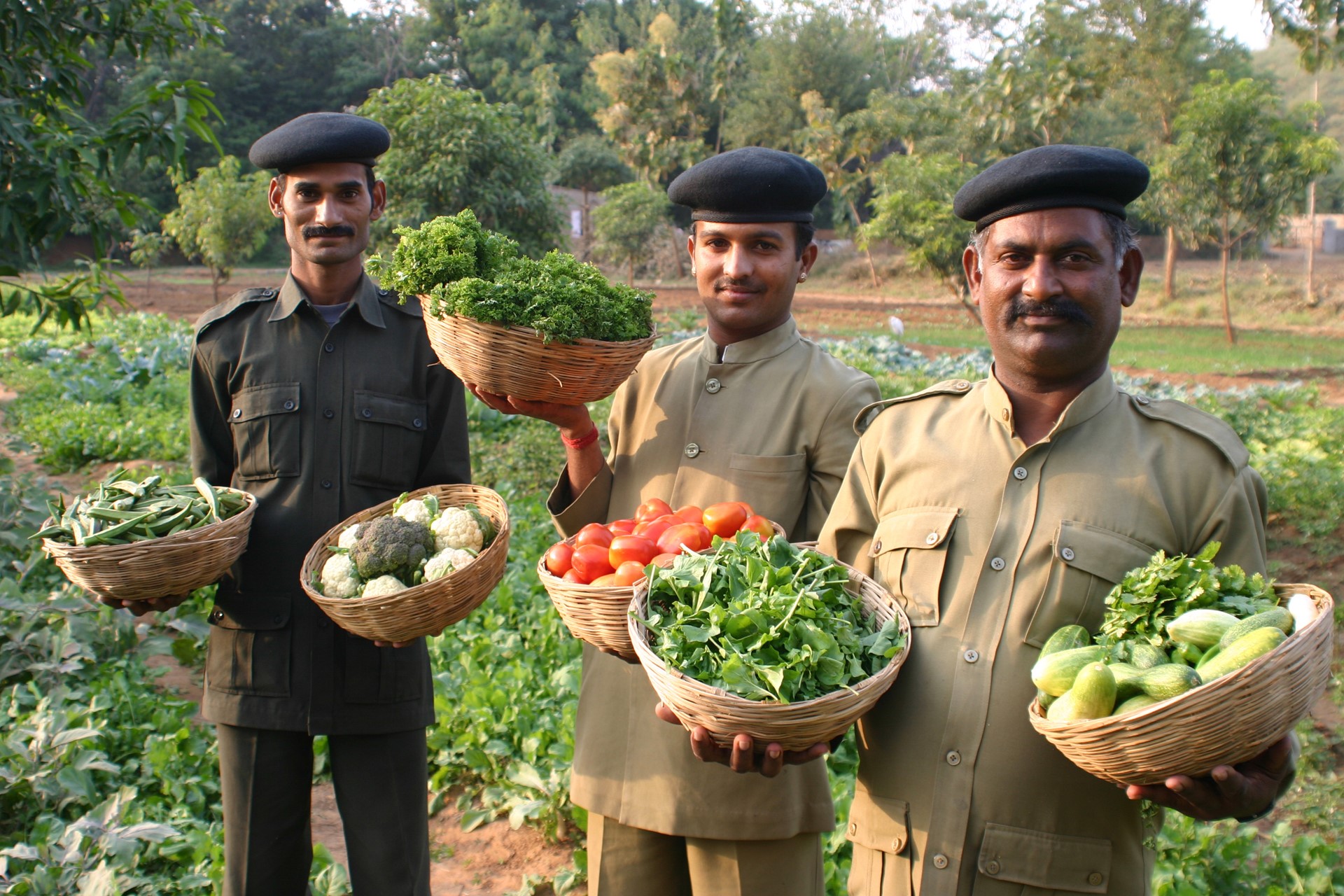 Sher Bagh Ranthambore National Park North India 5 